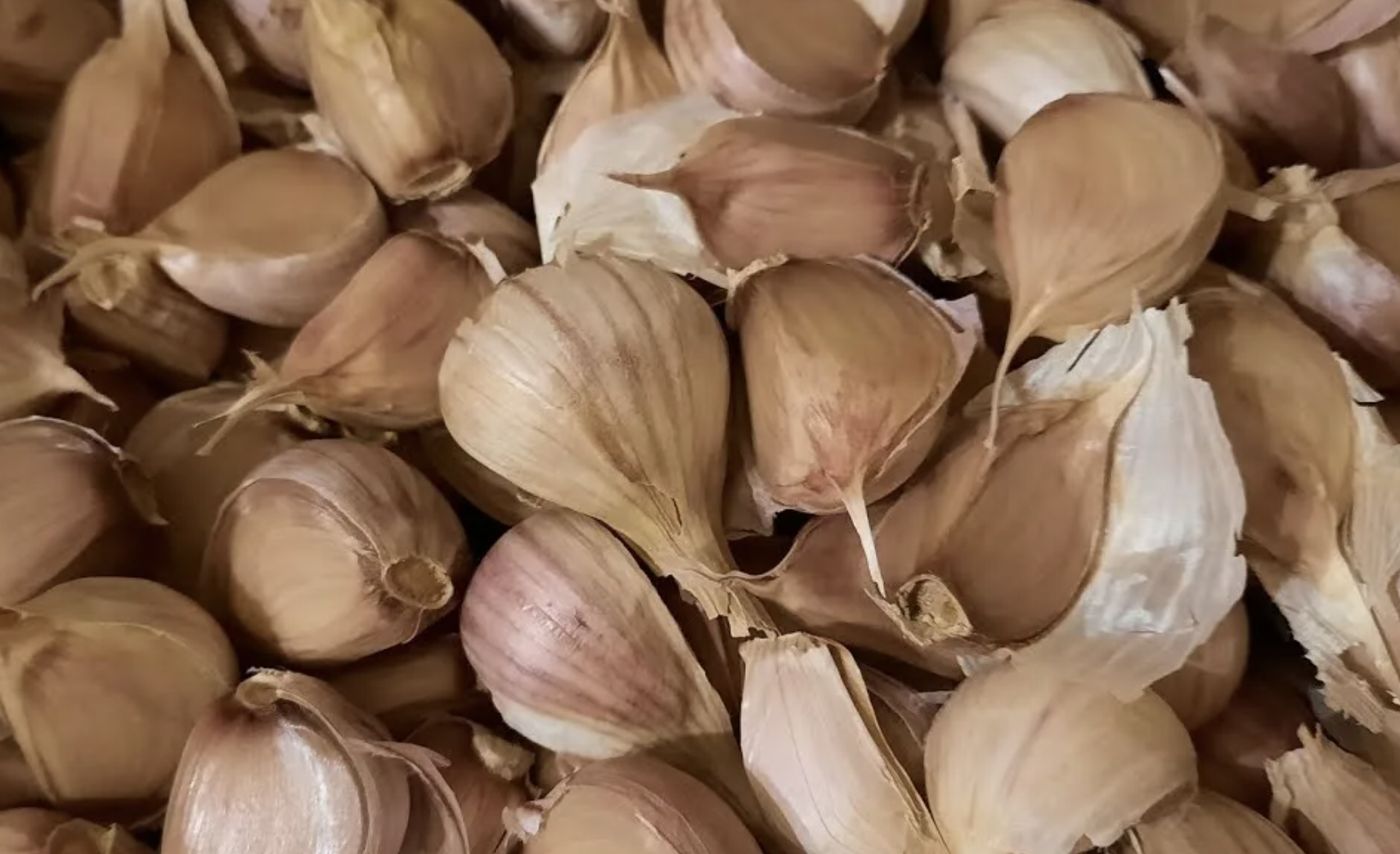 Dientes de ajo morado con su piel